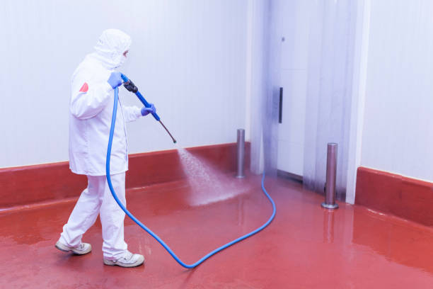 Best Driveway Pressure Washing  in Yardville, NJ